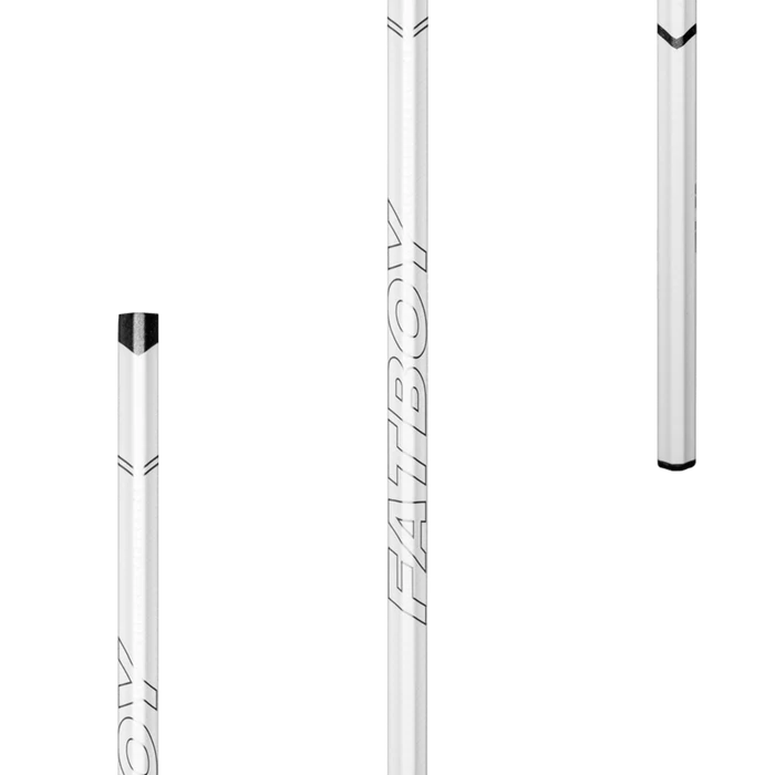 Warrior Evo QX2 fatboy carbon shaft