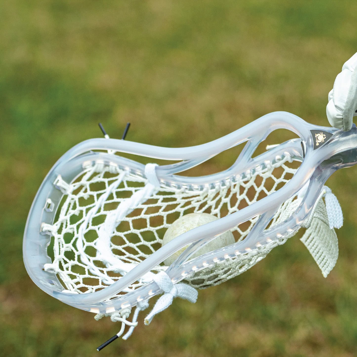East Coast Dyes ION Project Beta- Unstrung