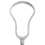 STX Stallion Omega Head